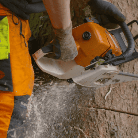 Motorsäge im Einsatz am Baum